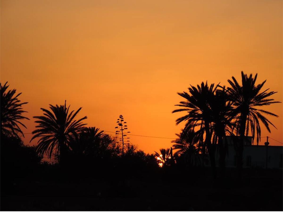 Dar Jasmin Djerba Bed and Breakfast Temlale Eksteriør billede