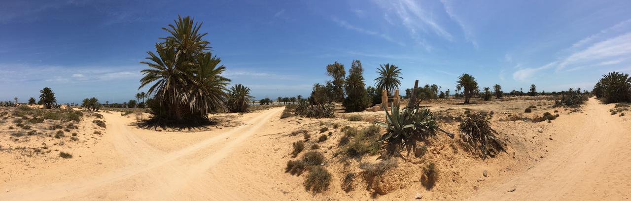Dar Jasmin Djerba Bed and Breakfast Temlale Eksteriør billede