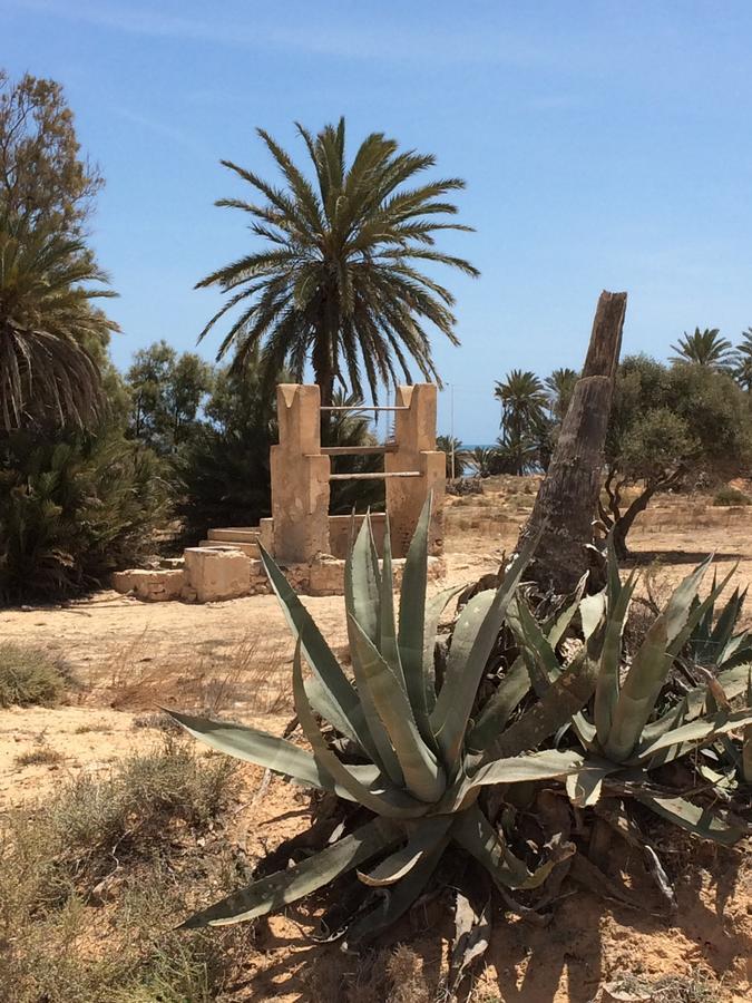 Dar Jasmin Djerba Bed and Breakfast Temlale Eksteriør billede