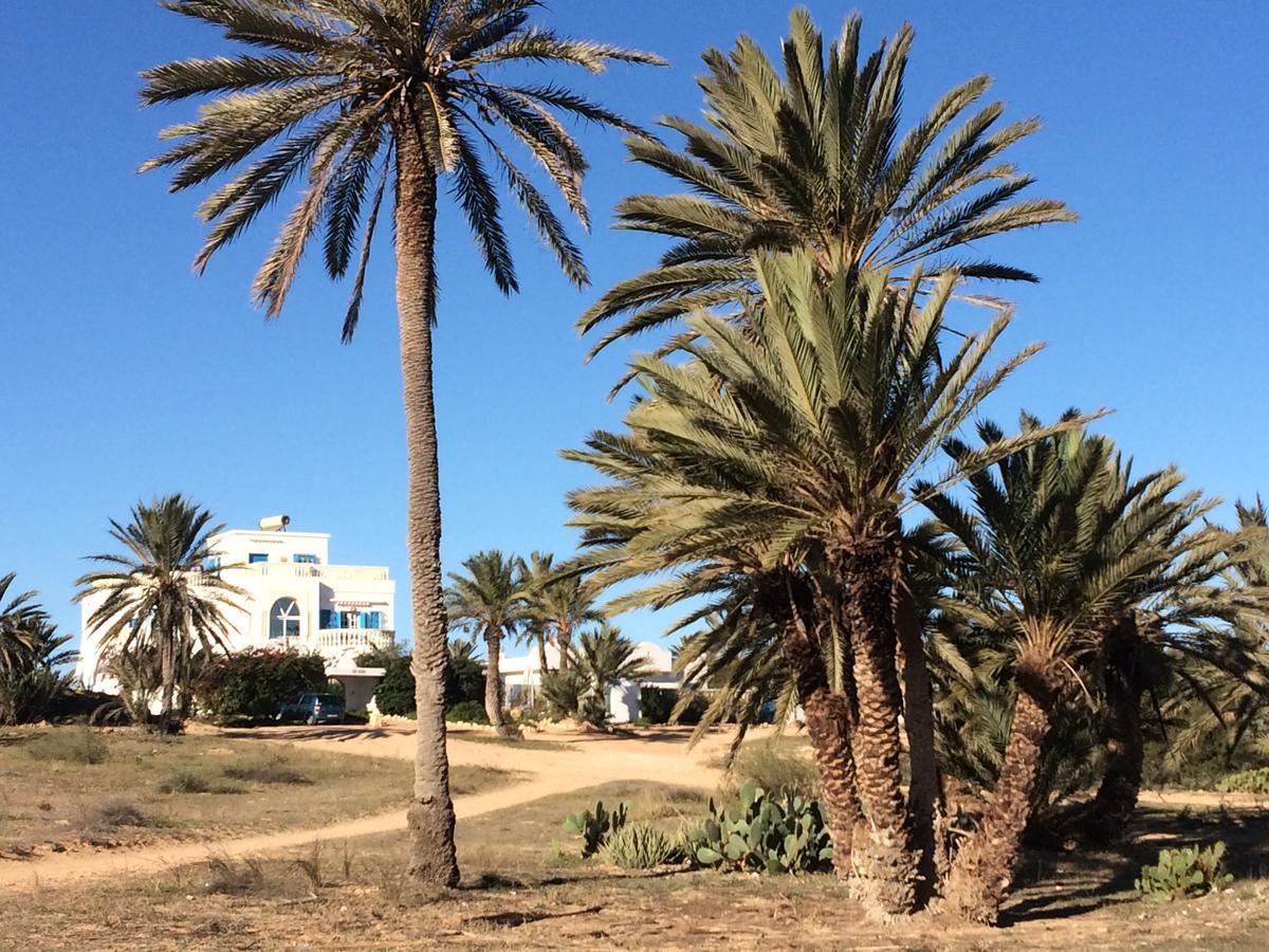 Dar Jasmin Djerba Bed and Breakfast Temlale Eksteriør billede